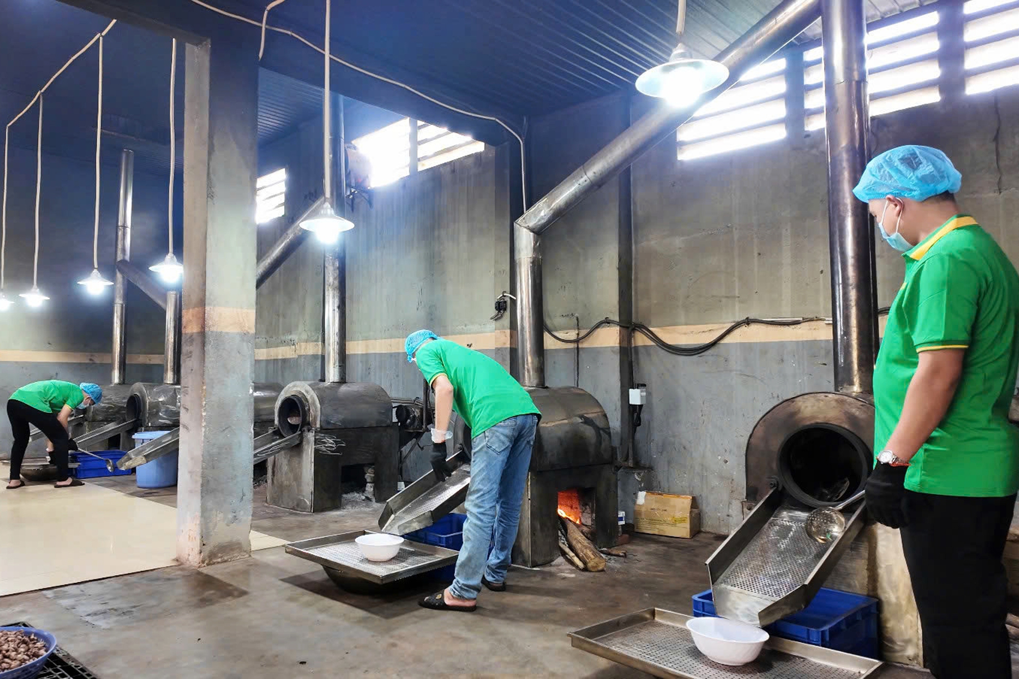 Đưa loại “hạt quý” chinh phục thị trường thế giới, anh nông dân thu lãi 250 tỷ đồng/năm - Ảnh 3. Đưa loại “hạt quý” chinh phục thị trường thế giới, anh nông dân thu lãi 250 tỷ đồng/năm - Ảnh 3.