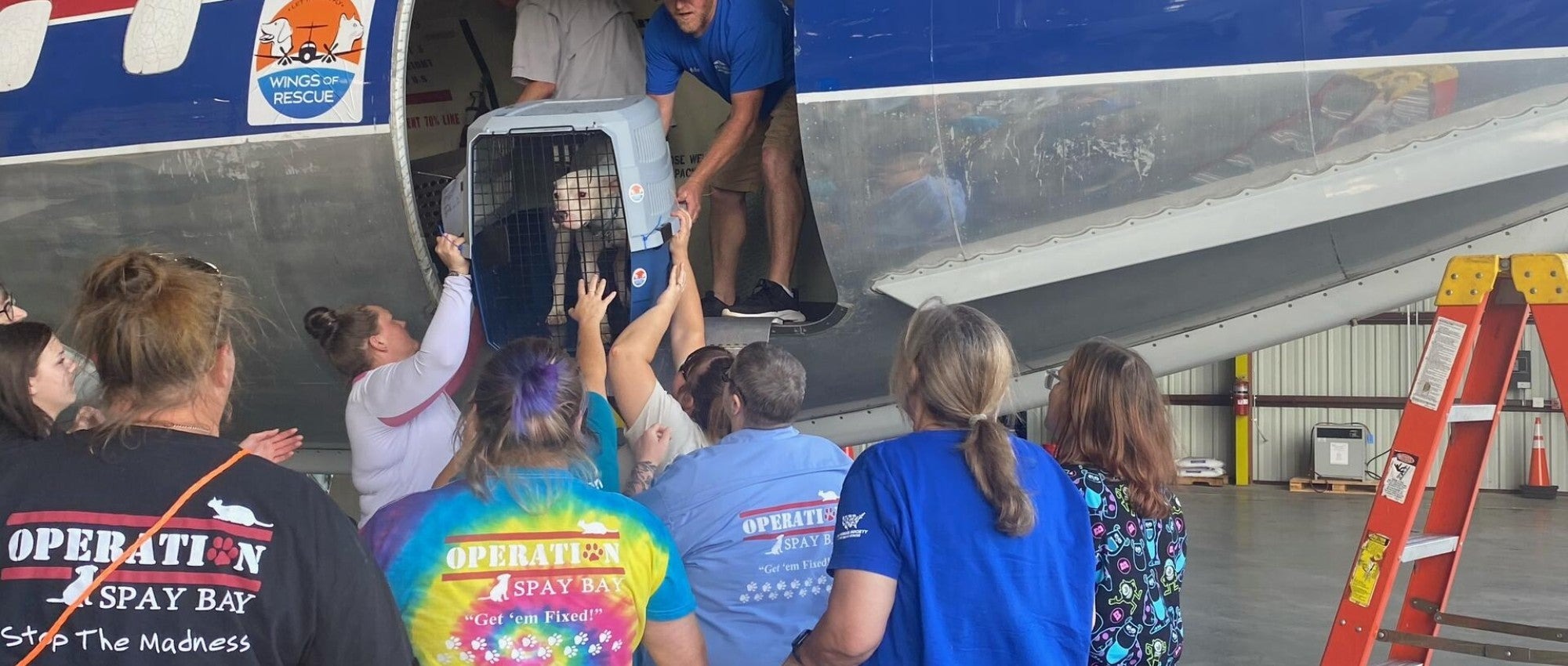 Nhặt được sinh vật lạ ở bờ biển trước siêu bão Milton, cô gái đem về nhà và nhận cái kết ngoài sức tưởng tượng- Ảnh 4.