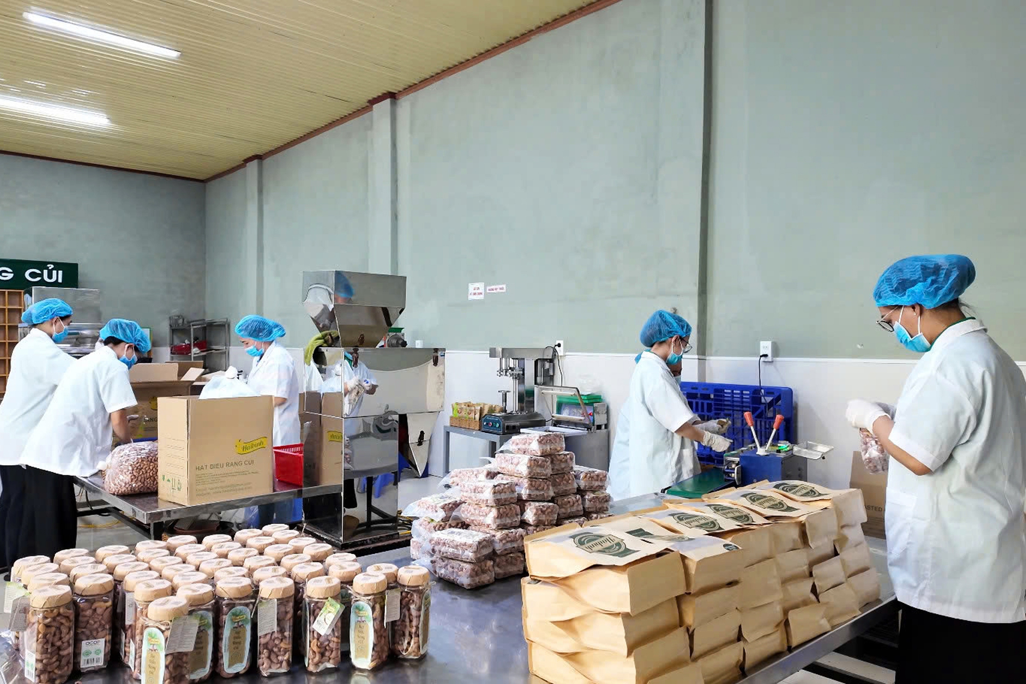 Đưa loại “hạt quý” chinh phục thị trường thế giới, anh nông dân thu lãi 250 tỷ đồng/năm - Ảnh 5. Đưa loại “hạt quý” chinh phục thị trường thế giới, anh nông dân thu lãi 250 tỷ đồng/năm - Ảnh 5.