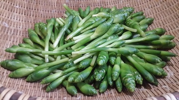 "Phú bà" miến dong Sùng Bầu vào bếp làm 1 món ăn, netizen sửng sốt 30 năm cuộc đời mới thấy thứ này- Ảnh 1. "Phú bà" miến dong Sùng Bầu vào bếp làm 1 món ăn, netizen sửng sốt 30 năm cuộc đời mới thấy thứ này- Ảnh 1.