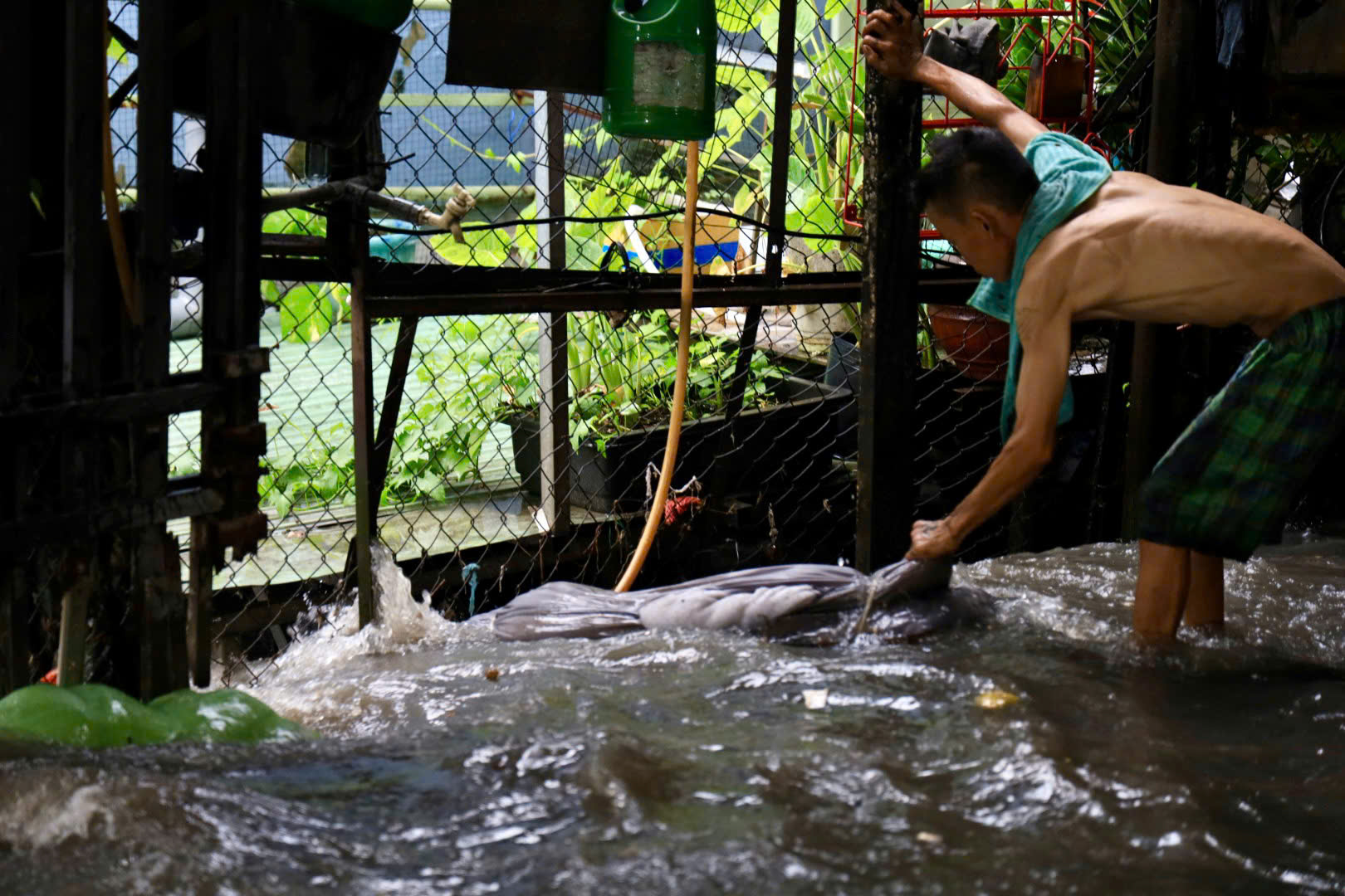 Ngập nặng TP HCM sau mưa lớn: Xe chết máy hàng loạt , giao thông hỗn loạn - Ảnh 4.