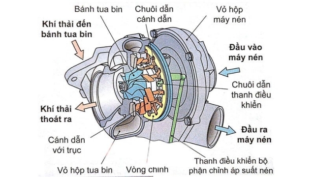  - Ảnh 4.