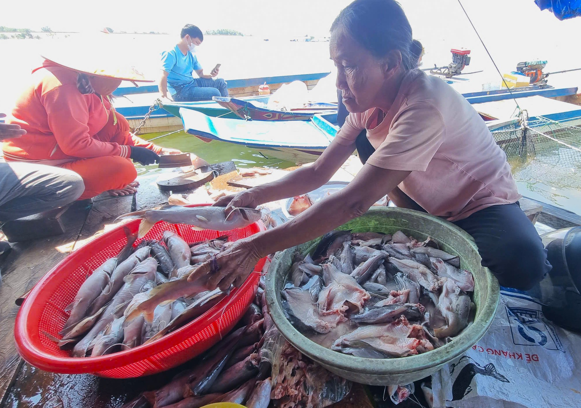 Bất thường cá chết hàng loạt tại hồ thủy lợi Ia Mơr Gia Lai - Ảnh 2.