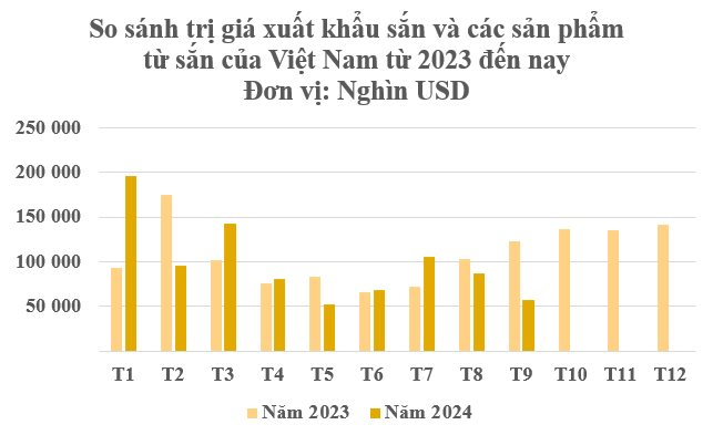  - Ảnh 2.