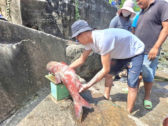 Người dân đổ về đập thủy điện Trị An săn cá: Niềm vui hội tụ từ lộc trời - Ảnh 5.