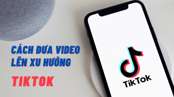 Cách lên xu hướng TikTok và tăng tương tác hiệu quả - Ảnh 1.