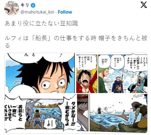 One Piece: Chiếc mũ rơm của Luffy có một ý nghĩa đặc biệt khác mà không ai để ý- Ảnh 2.