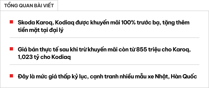 Cặp đôi Skoda giảm giá mạnh tại đại lý: Karoq còn 855 triệu tiệm cận Seltos, Kodiaq còn hơn 1 tỷ ngang khởi điểm Santa Fe- Ảnh 1.