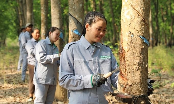 Một công ty sắp tuyển dụng 30.000 nhân sự làm việc tại Việt Nam, Lào và Campuchia