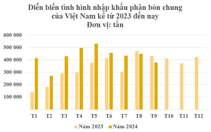 Hàng chục nghìn tấn hàng từ Israel đang đổ bộ Việt Nam với giá rẻ bất ngờ: Nhập khẩu tăng gần 200%, nước ta tiêu thụ hơn 10 triệu tấn mỗi năm - Ảnh 2.