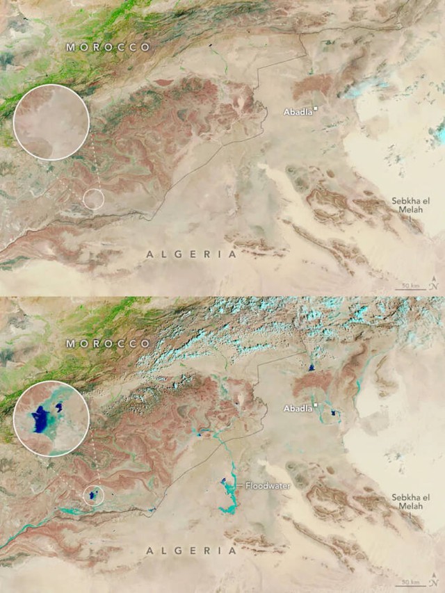 Lượng mưa lịch sử gây lũ lụt tại sa mạc Sahara: Hiện tượng vô cùng hiếm gặp này liệu có phải 'dấu hiệu' của thảm họa? - Ảnh 2.