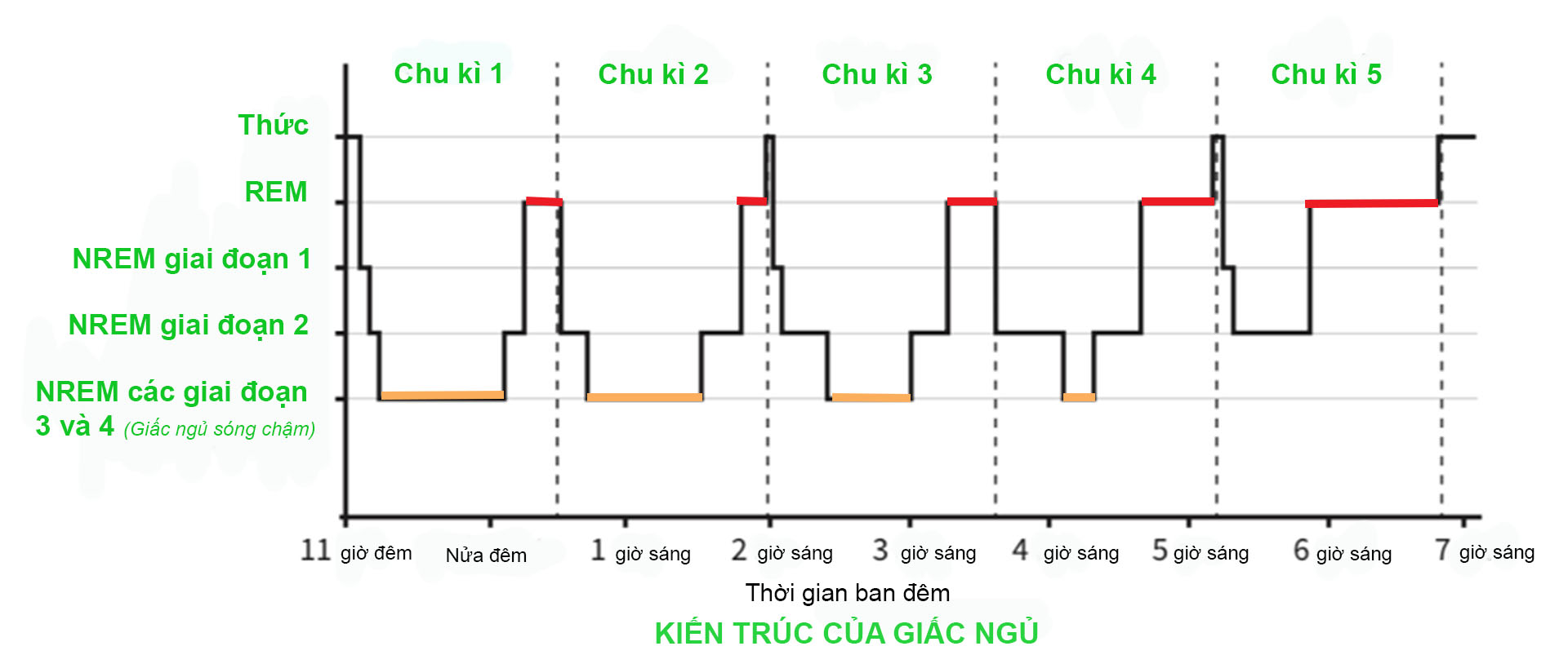 Tưởng tượng giấc ngủ như chơi tàu lượn sẽ giúp bạn ngủ ngon hơn- Ảnh 5.