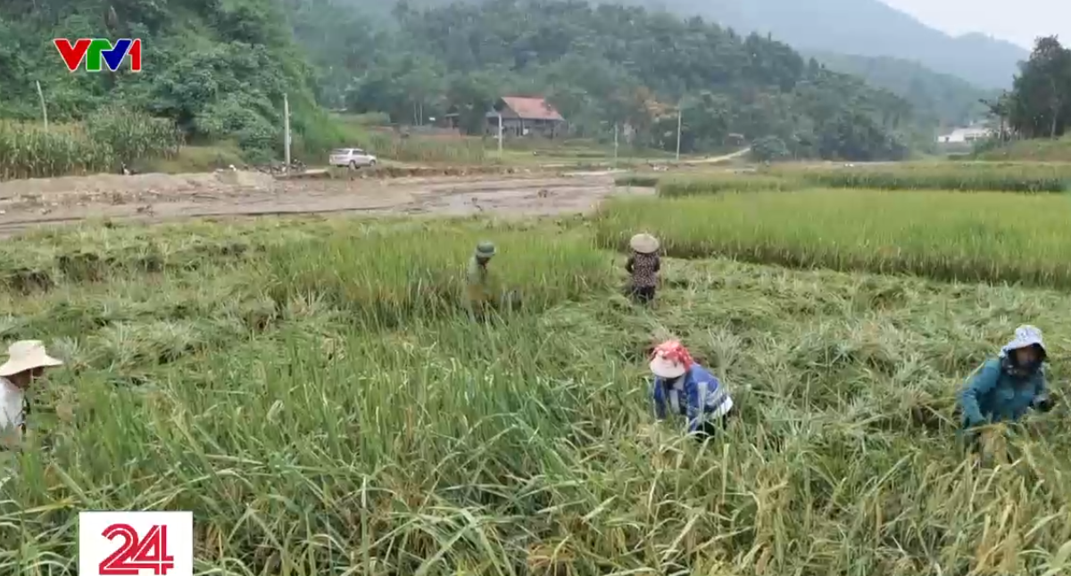 Bữa cơm đoàn kết đầu tiên của thôn Làng Nủ sau trận lũ quét kinh hoàng - Ảnh 2.