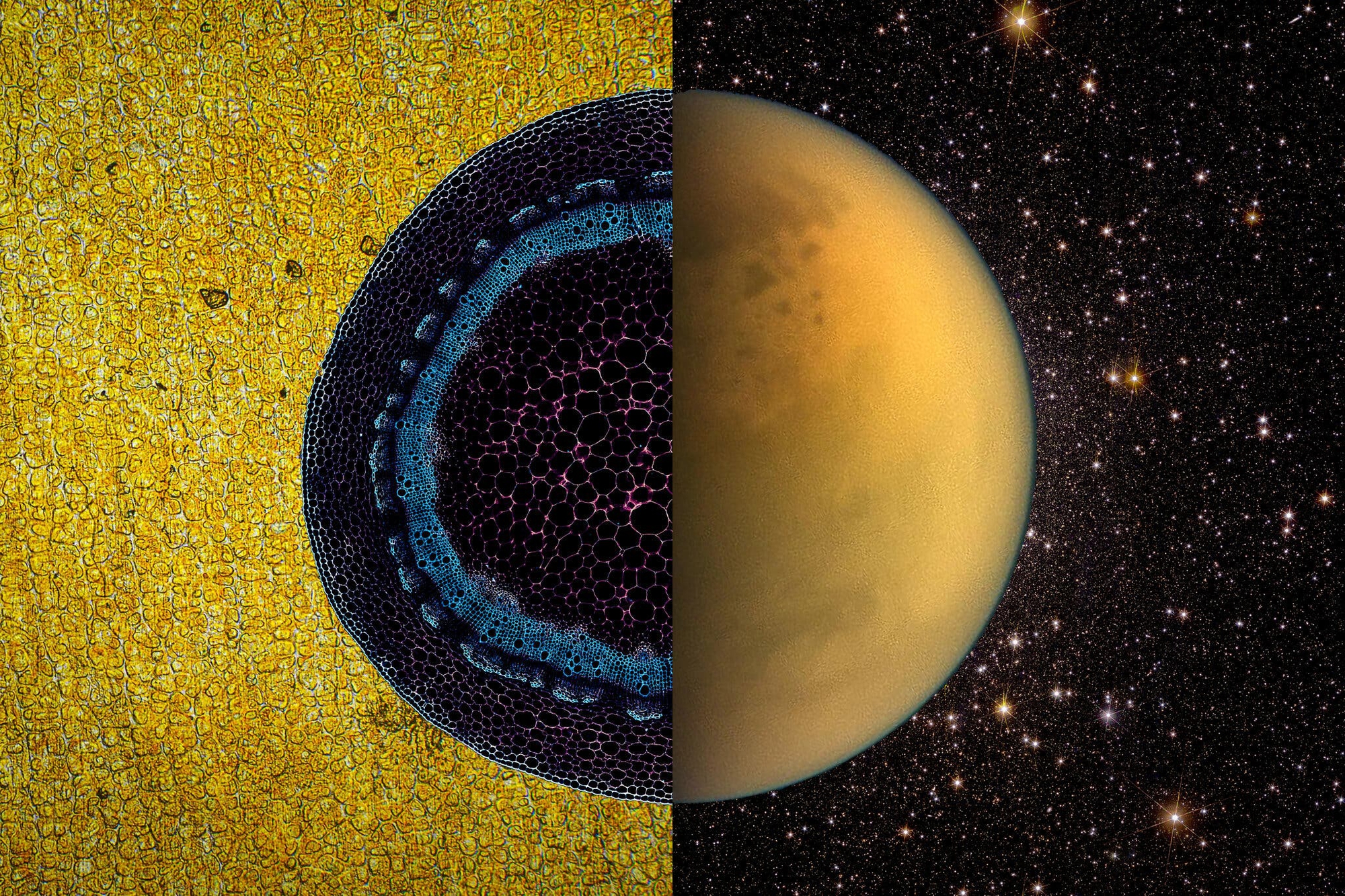 4,3 tỷ năm trước, Tr&aacute;i Đất xuất hiện một 'cơn mưa v&agrave;ng' với khối lượng 6 tỷ tấn, vậy số v&agrave;ng đ&oacute; đ&atilde; đi đ&acirc;u?- Ảnh 3.