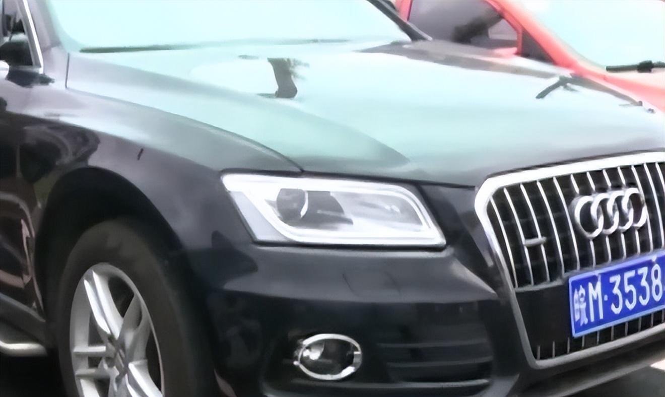 Hai mẹ con lừa đảo Trung Quốc bị bắt khi lái Audi Q5 - Ảnh 2.