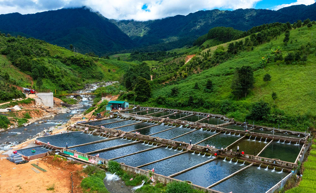 Anh nông dân "phát tài" nhờ nuôi cá ngoại quốc theo cách lạ cứ thế kiếm 22 tỷ đồng - Ảnh 3.