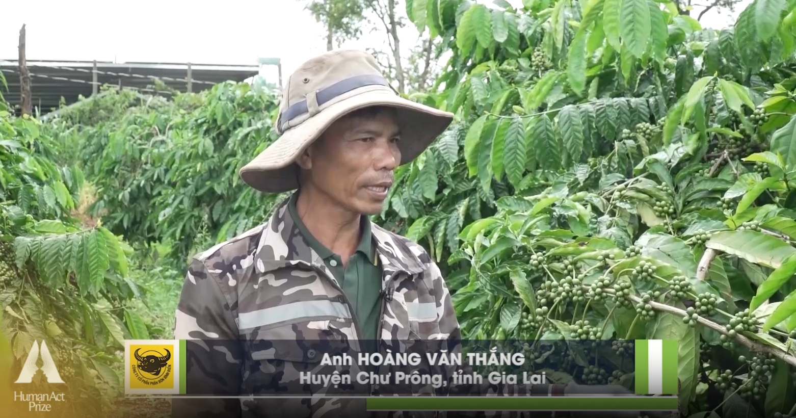 Sở hữu công thức thông minh, người dân trồng “loại cây 6 tỷ đô” cười tươi dù bị ảnh hưởng biến đổi khí hậu - Ảnh 4.