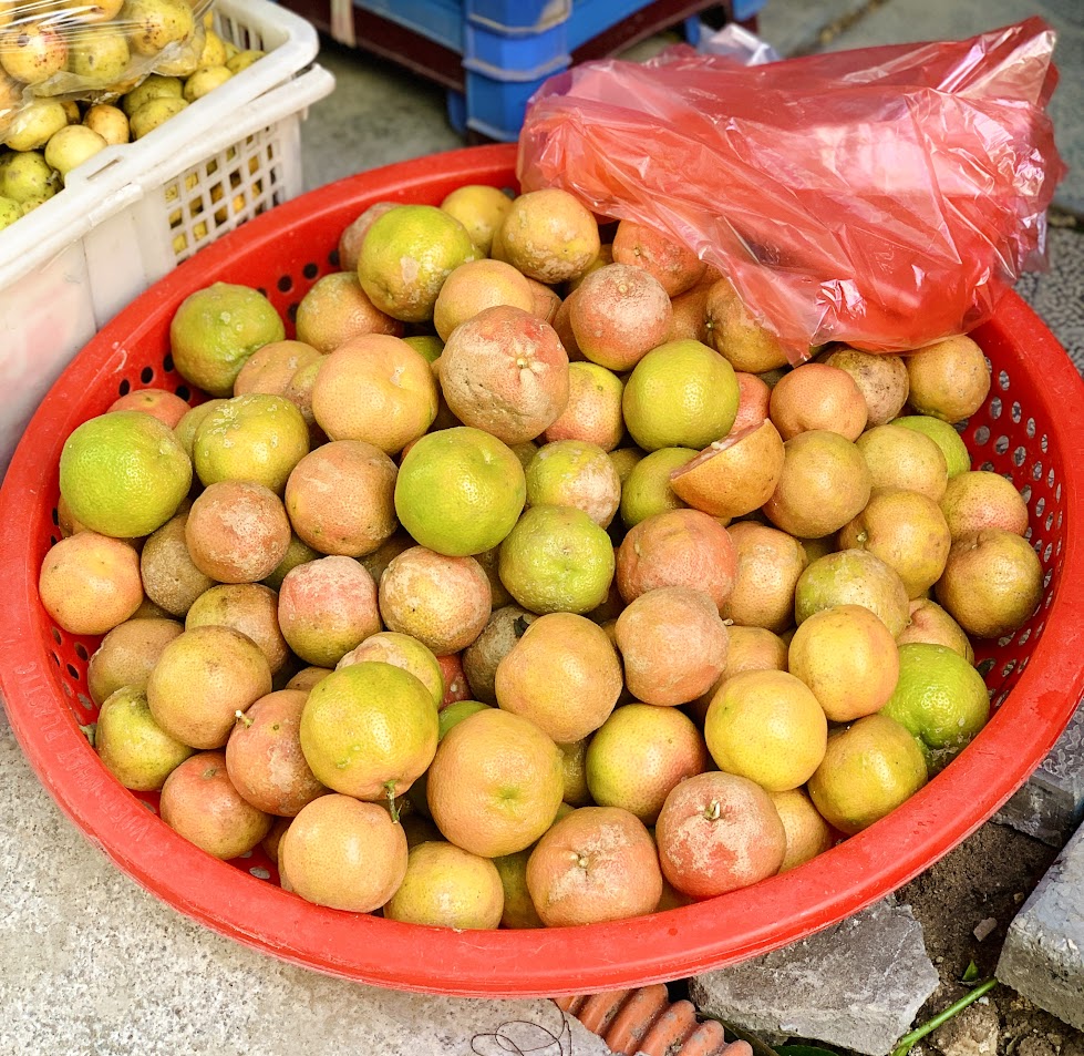 Loại quả giàu vitamin C chống lão hóa rất tốt còn là "thuốc trị ho" tự nhiên: Bán đầy chợ nhưng nhớ tránh xa 2 kiểu dùng- Ảnh 1.