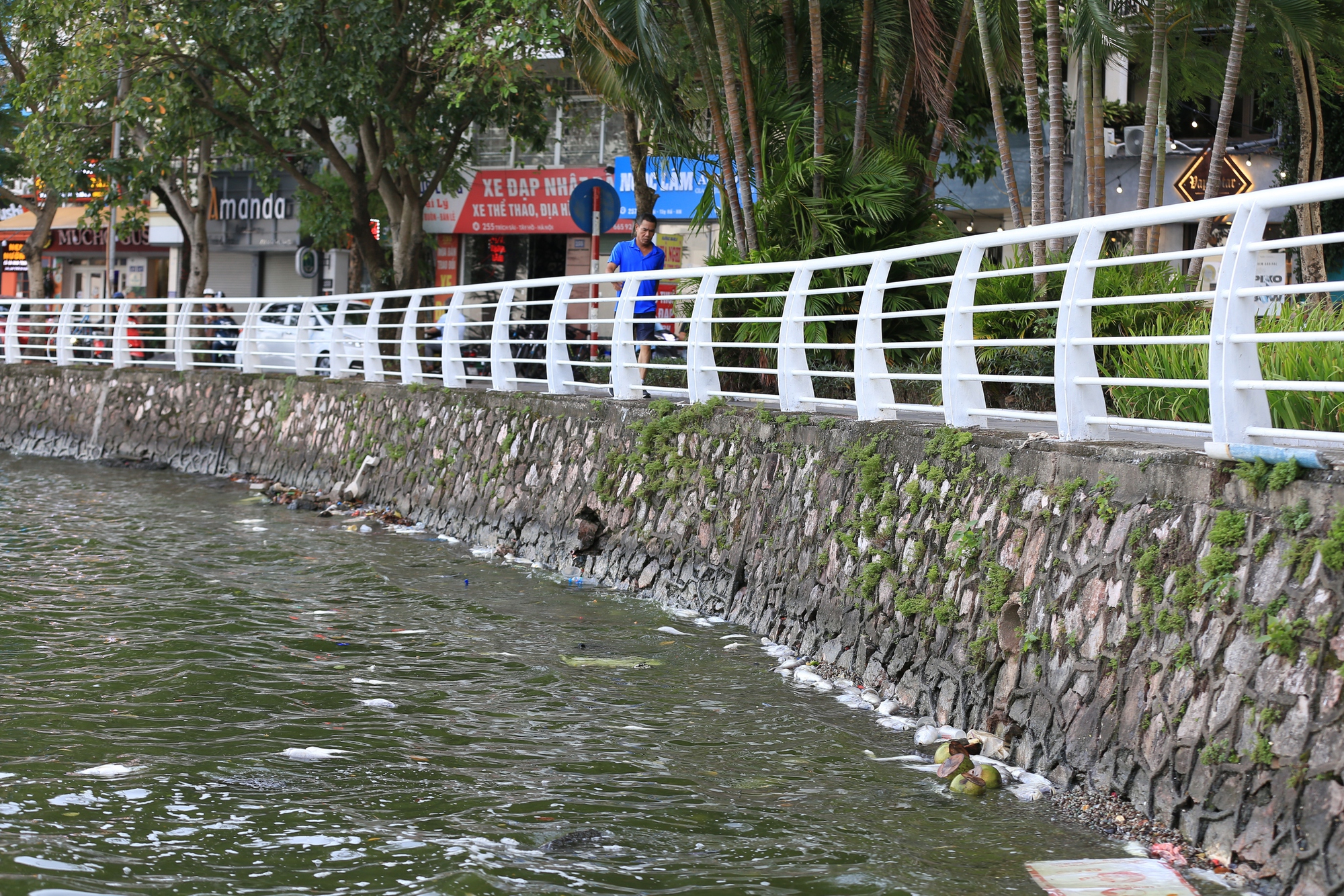 Người dân Thủ Đô nói "không thở được" vì cá chết bốc mùi hôi nồng nặc ở Hồ Tây- Ảnh 16.