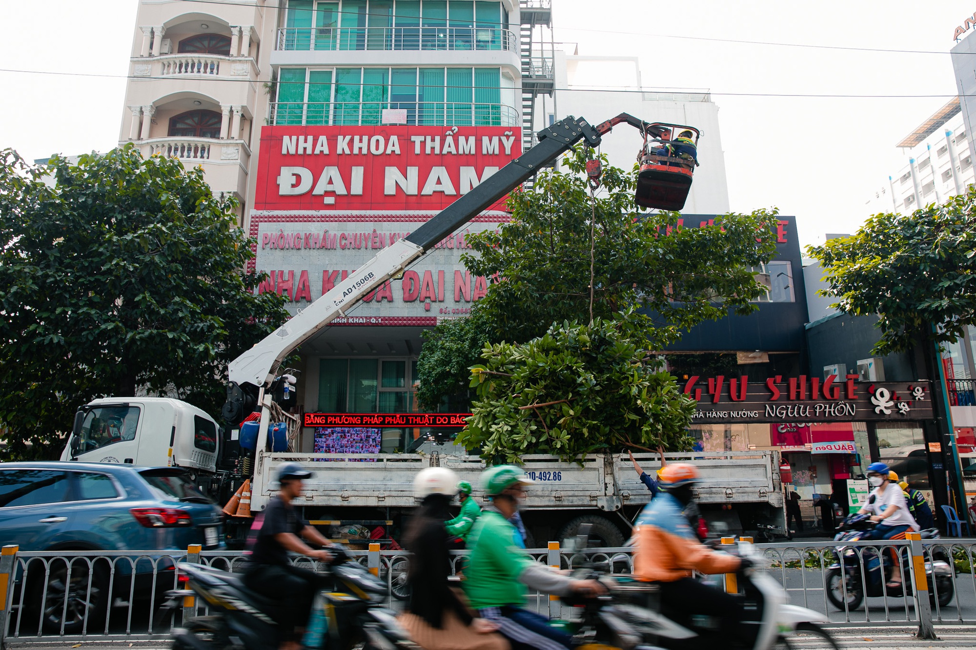 Hình ảnh "lạ" của loạt cây xanh lâu năm ở TP.HCM khiến nhiều người tiếc nuối - Ảnh 7.