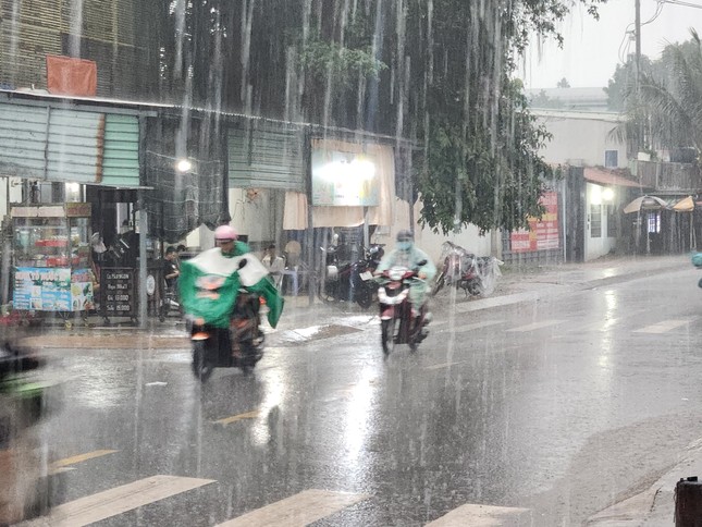 Toàn cảnh thiệt hại khi bão Trà Mi càn quét đất liền: Vỉa hè sông Hàn Đà Nẵng bị tàn phá, cây bật gốc hàng loạt - Ảnh 25.