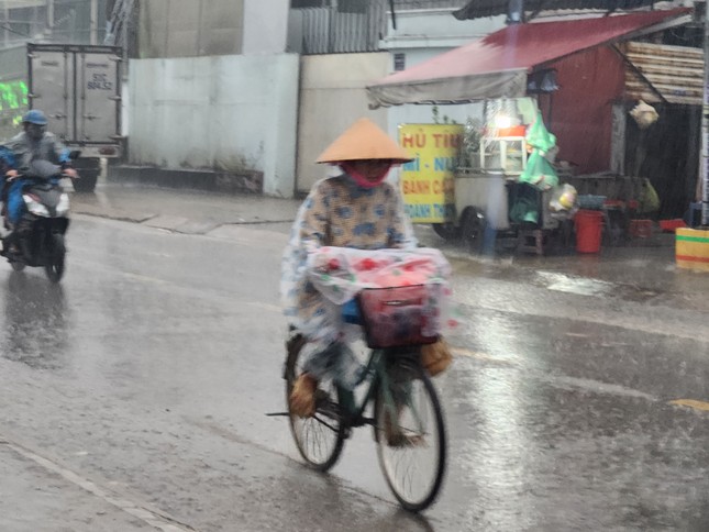 Toàn cảnh thiệt hại khi bão Trà Mi càn quét đất liền: Vỉa hè sông Hàn Đà Nẵng bị tàn phá, cây bật gốc hàng loạt - Ảnh 26.