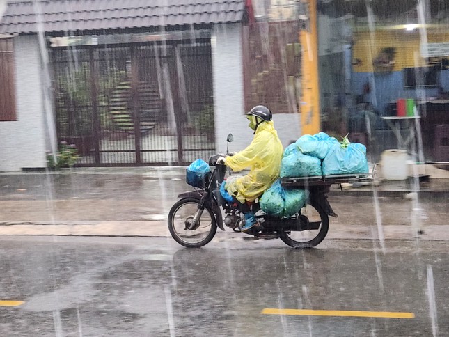 Toàn cảnh thiệt hại khi bão Trà Mi càn quét đất liền: Vỉa hè sông Hàn Đà Nẵng bị tàn phá, cây bật gốc hàng loạt - Ảnh 28.