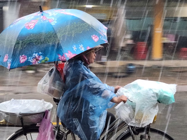 Toàn cảnh thiệt hại khi bão Trà Mi càn quét đất liền: Vỉa hè sông Hàn Đà Nẵng bị tàn phá, cây bật gốc hàng loạt - Ảnh 29.