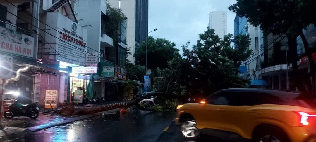 Bão Trà Mi gây mưa lớn và gió giật mạnh , ảnh hưởng khu vực Đà Nẵng - Ảnh 3.