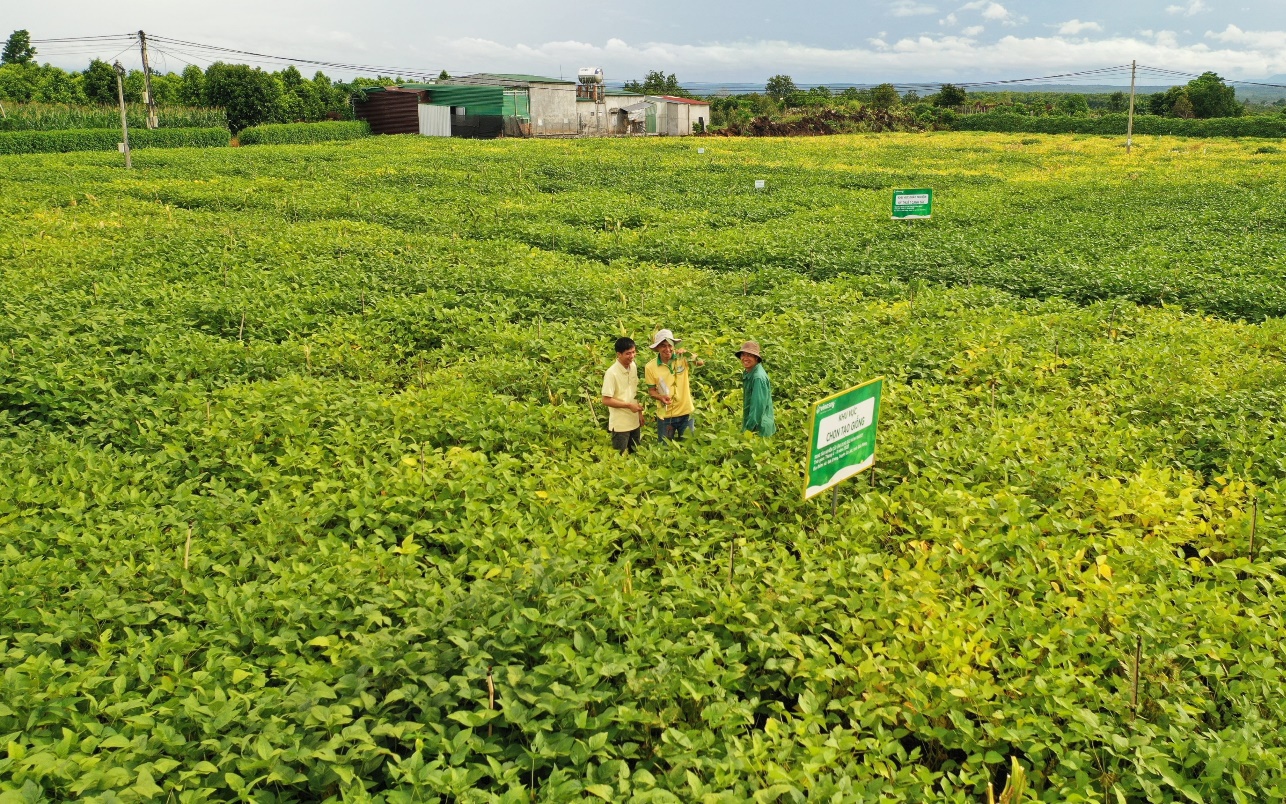 Vingroup ra mắt quỹ đầu tư 150 triệu USD, Giám đốc điều hành là "nàng thơ giới đầu tư" - Ảnh 2.