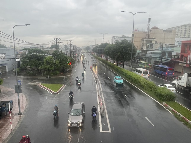 Toàn cảnh thiệt hại khi bão Trà Mi càn quét đất liền: Vỉa hè sông Hàn Đà Nẵng bị tàn phá, cây bật gốc hàng loạt - Ảnh 23.