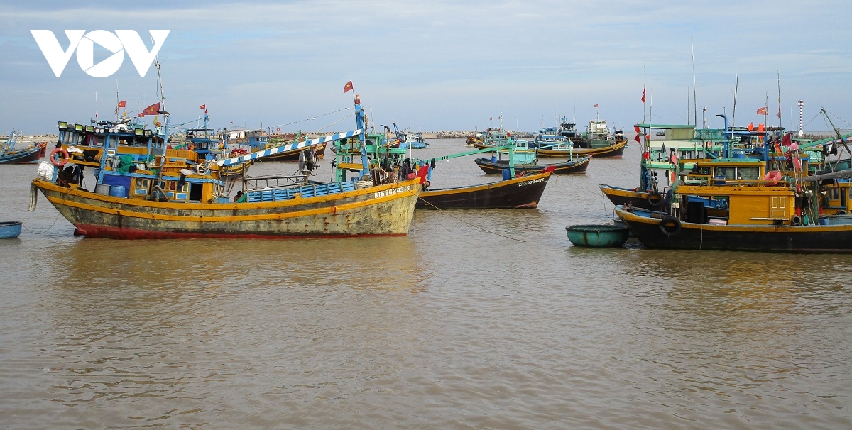 Tìm thấy thi thể ngư dân Bình Thuận mất tích trên vùng biển Phan Thiết - Ảnh 1.