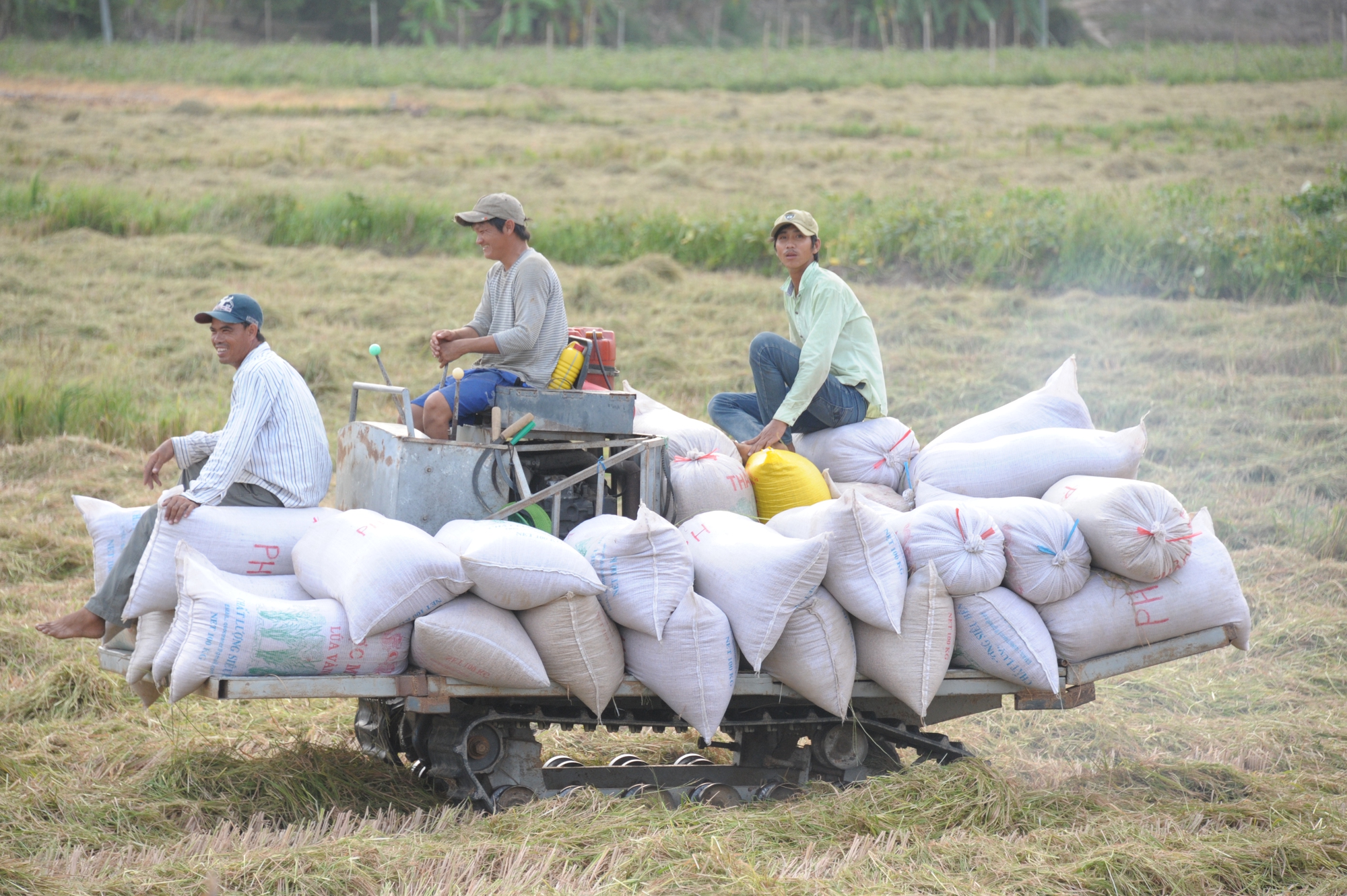 Việt Nam chi 1 tỷ USD nhập khẩu gạo - bình thường hay bất thường?- Ảnh 1.