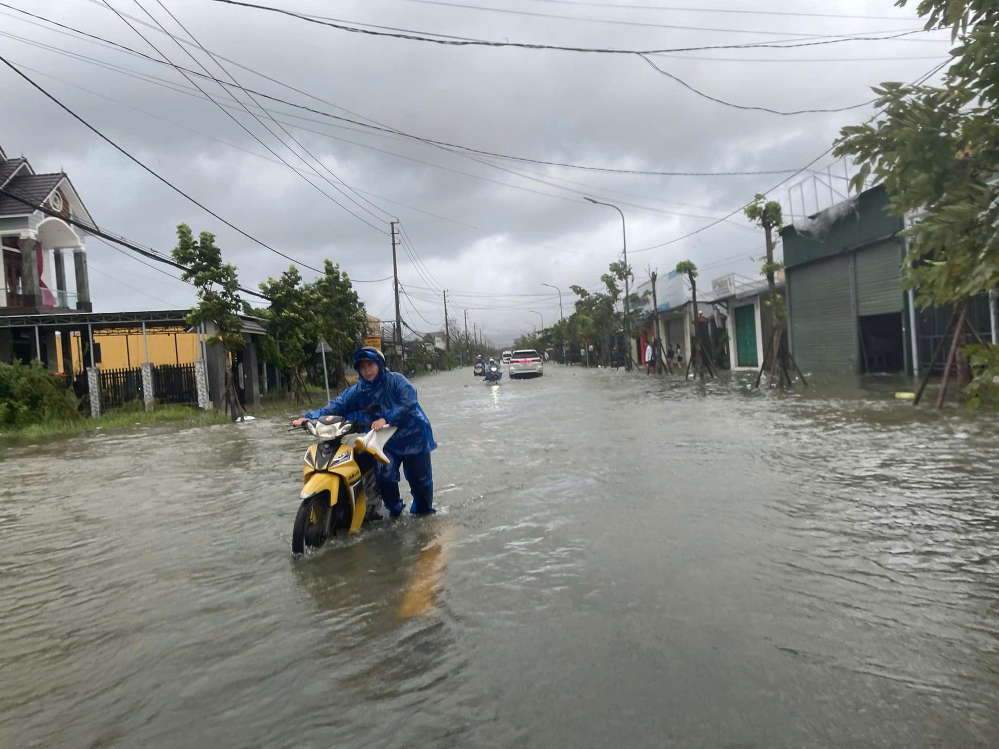 Bão Trami quật đổ cây, mưa to gây ngập nhiều nơi- Ảnh 1.