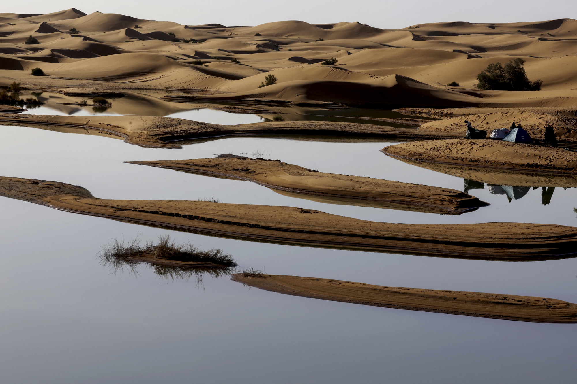 Lũ lụt hiếm thấy ở sa mạc Sahara