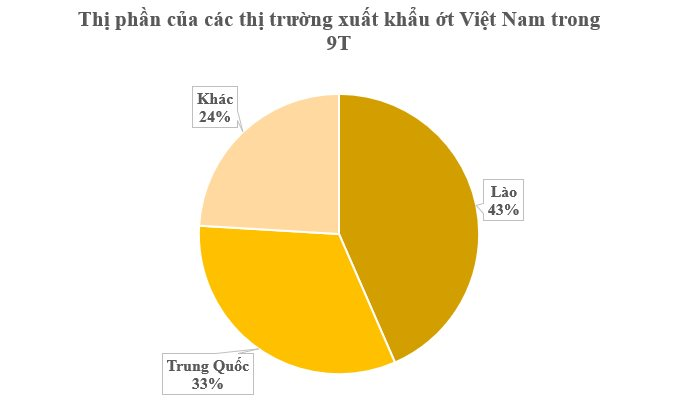 Lào, Trung Quốc mê mệt loại quả 'nhỏ nhưng có võ' này: Việt Nam sở hữu 2 vựa khổng lồ, sản lượng mỗi năm hàng trăm nghìn tấn - Ảnh 2.