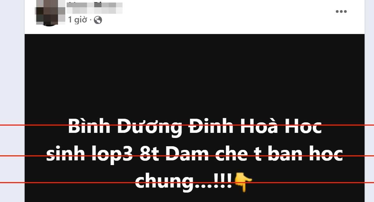 Thông tin giả về học sinh lớp 3 đâm chết bạn ở Bình Dương - Ảnh 1.