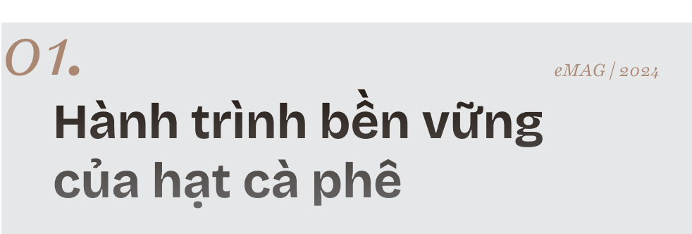 Phía sau hành trình những hạt cà phê bền vững của Việt Nam: Hai điều đặc biệt và thuyết “quả tuyết lăn” - Ảnh 1.