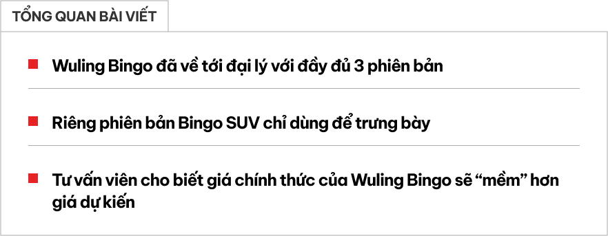 Wuling Bingo ồ ạt về đại lý trước giờ G: Đầy đủ 3 phiên bản, mức giá đồn đoán gây tranh cãi- Ảnh 1.