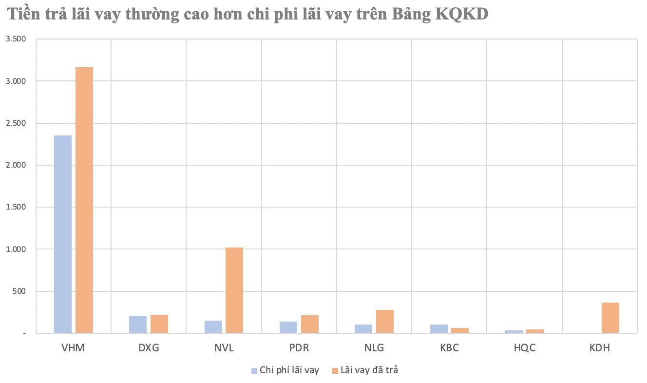 “Tảng băng chìm” của hàng nghìn tỷ chi phí lãi vay tại Novaland, Khang Điền...- Ảnh 3.