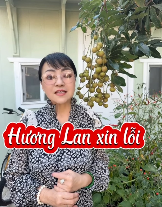 Danh ca Hương Lan nhận "lỗi lầm to lớn", xin khán giả tha thứ - Ảnh 1.