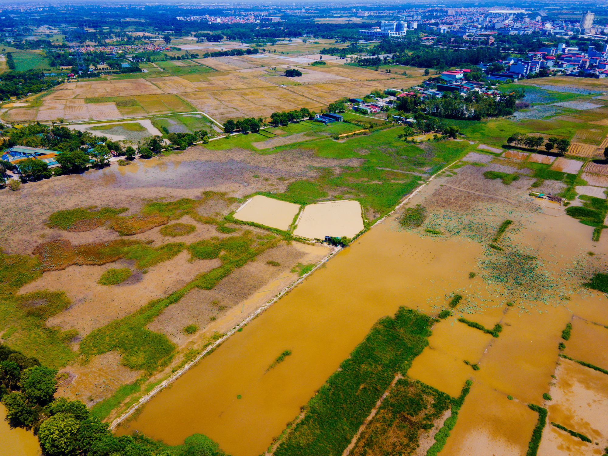 Toàn cảnh khu đất rộng 80 ha, gần cầu Thăng Long đang được mời gọi đầu tư khu đô thị mới 8.000 tỷ ở Hà Nội- Ảnh 8.