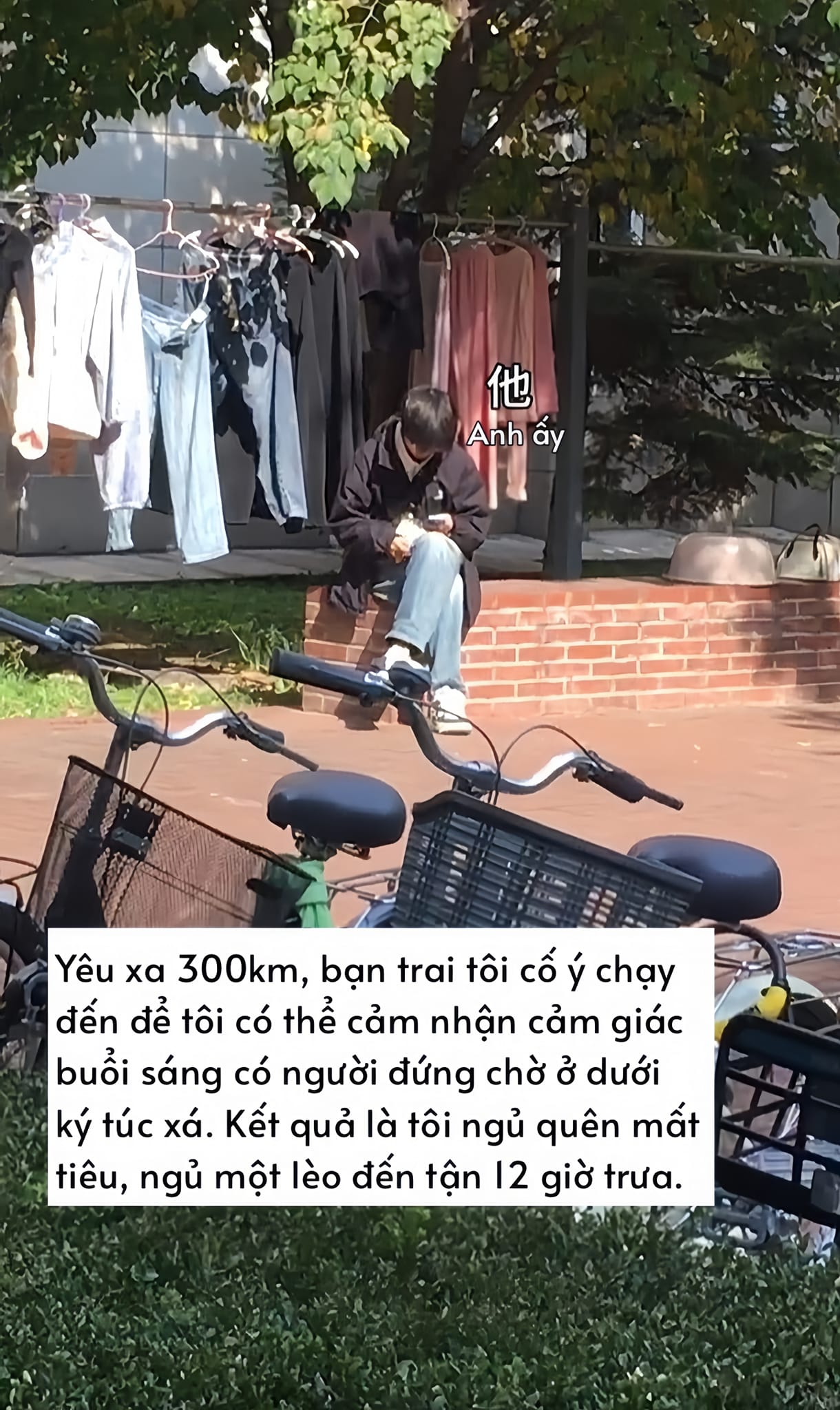 Bức ảnh ch&agrave;ng trai đi 300km ngồi giữa nắng g&acirc;y tranh c&atilde;i - Ảnh 2.