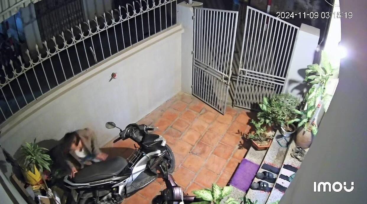 Bức ảnh &ocirc;ng ngoại lọ mọ l&agrave;m 1 việc từ 3h s&aacute;ng khiến nhiều người bật kh&oacute;c- Ảnh 1.