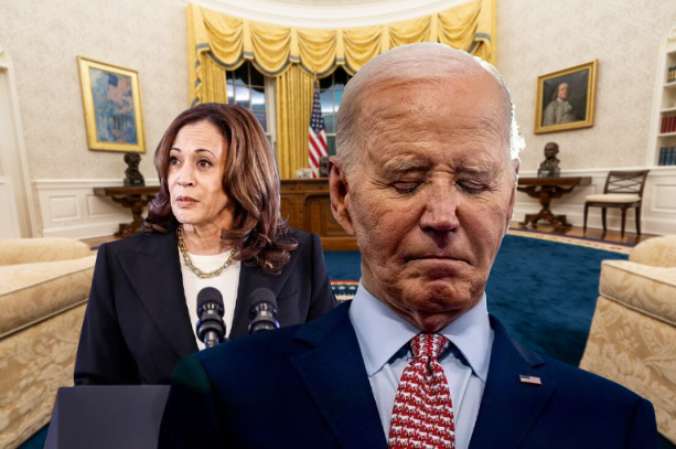 Ông Trump chọn những ai cho chính quyền mới? - Ảnh 3.