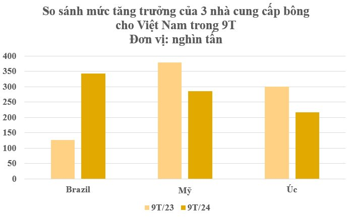 Hàng trăm nghìn tấn hàng từ Brazil đổ bộ Việt Nam với giá rẻ hấp dẫn: Chi hơn 2 tỷ USD nhập khẩu, nước ta tiêu thụ đứng thứ 3 thế giới - Ảnh 3.