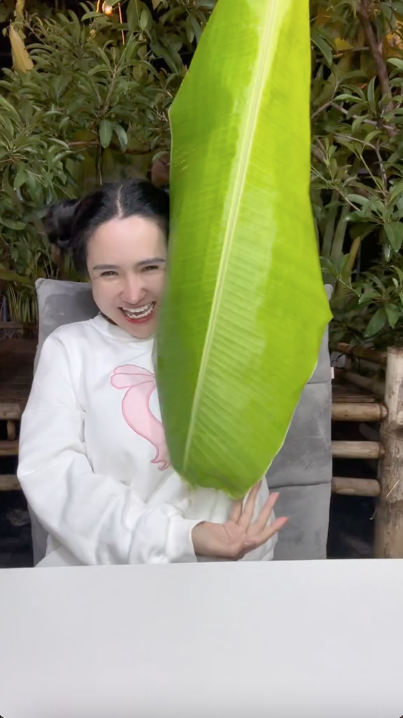 - Ảnh 2. - Ảnh 2.