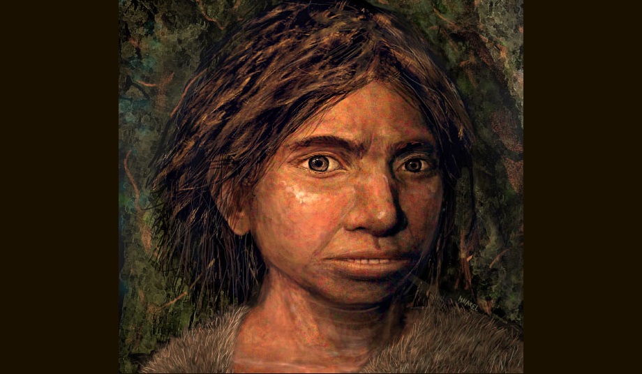 DNA một lo&agrave;i người kh&aacute;c "x&acirc;m chiếm" người ch&acirc;u &Aacute; đến 2 lần - Ảnh 1.