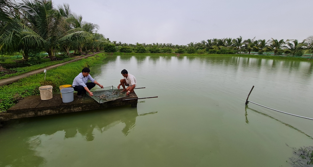 Bỏ phố về quê nuôi con vật to bự "hiền như đất", anh nông dân thu về 4 tỷ đồng - Ảnh 4.