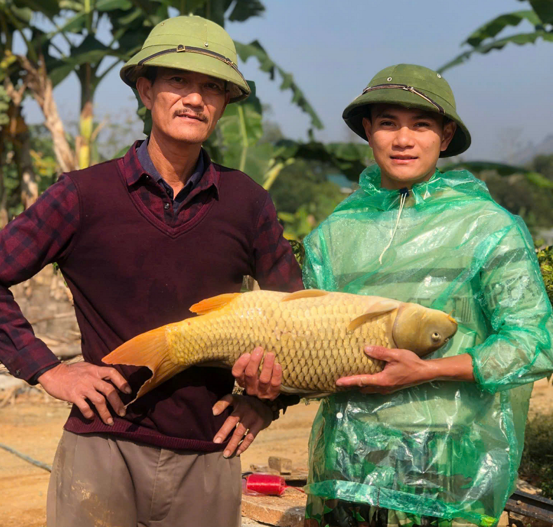 Bỏ phố về quê nuôi con vật to bự "hiền như đất", anh nông dân thu về 4 tỷ đồng - Ảnh 1.